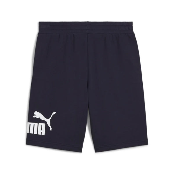 ESS BIG NO. 1 LOGO SHORTS 10"